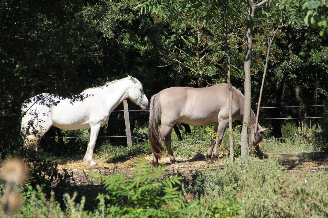 Studio Gard Calme Et Nature Russan Buitenkant foto