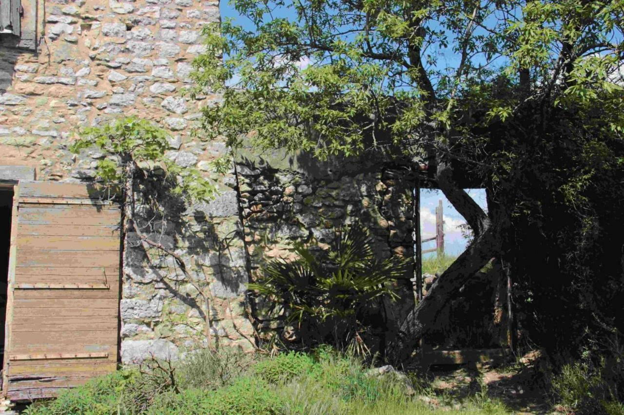 Studio Gard Calme Et Nature Russan Buitenkant foto