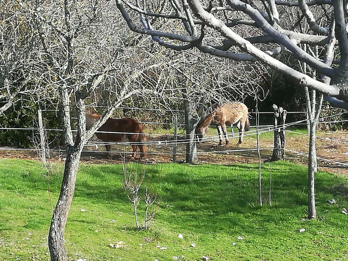Studio Gard Calme Et Nature Russan Buitenkant foto