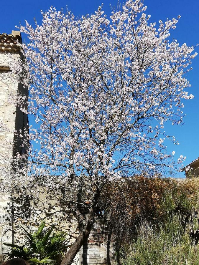 Studio Gard Calme Et Nature Russan Buitenkant foto