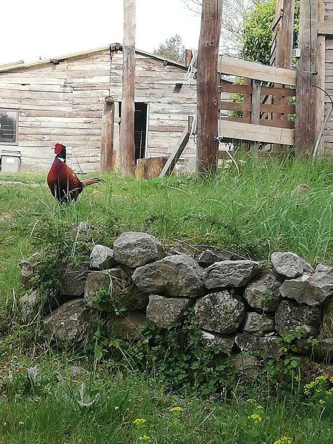 Studio Gard Calme Et Nature Russan Buitenkant foto